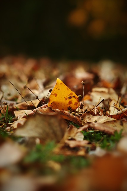 不负众望的 不负众望的