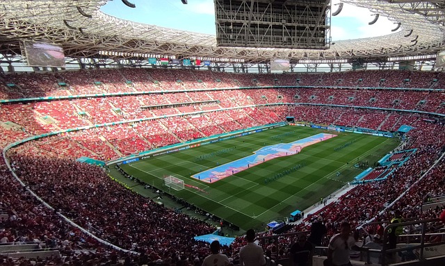 造歐洲杯與 造歐洲杯與